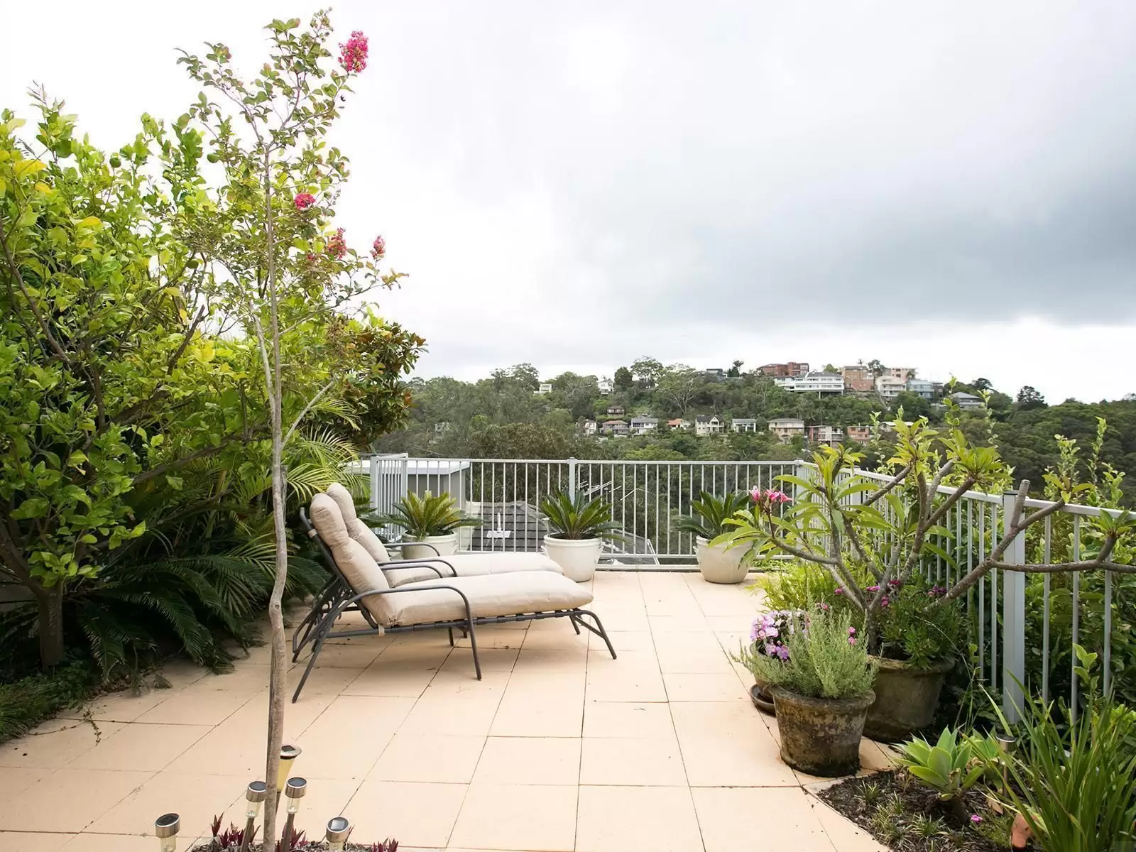 2/43 The Boulevarde, Cammeray Sold by Aurora Property - image 6