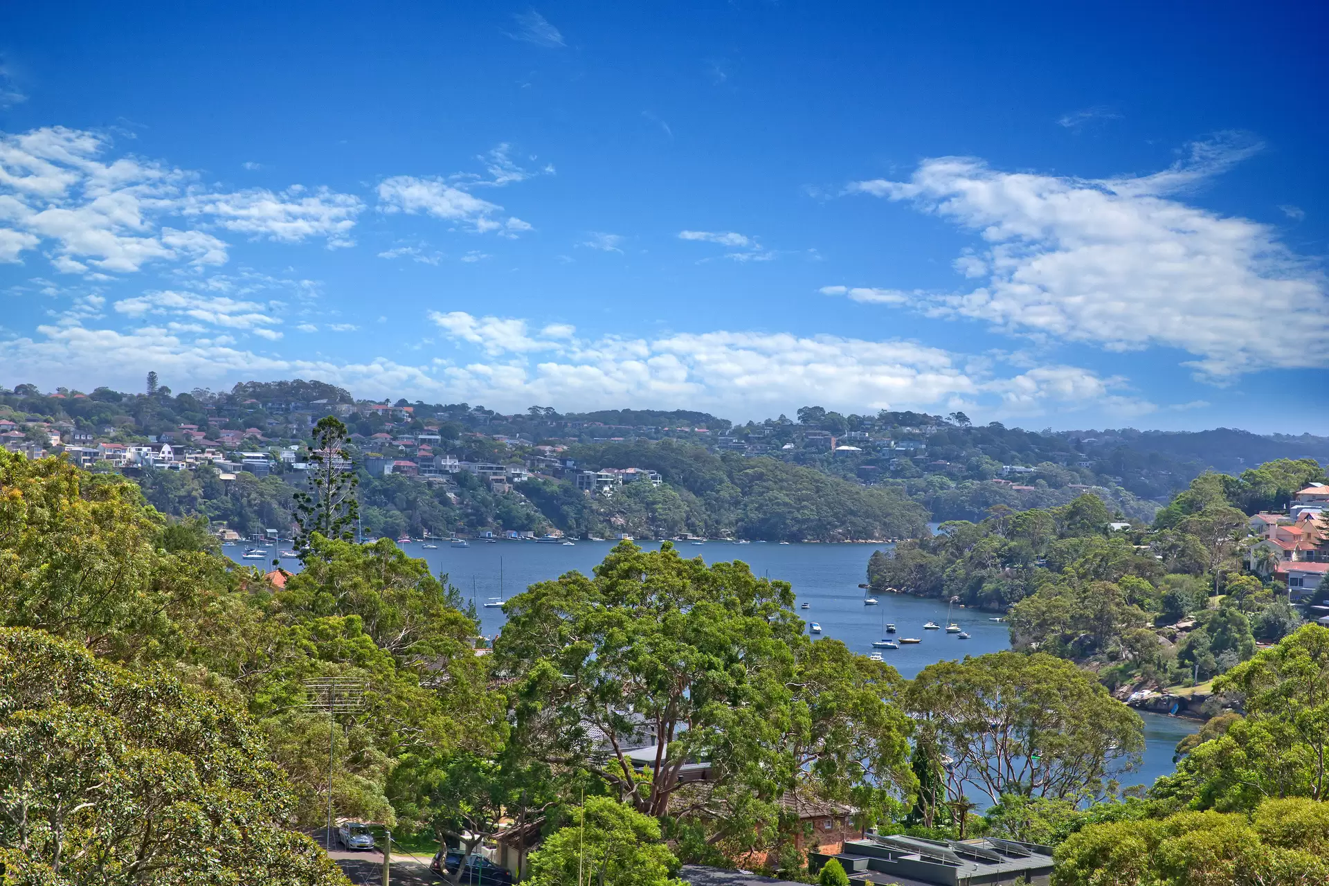 31 Killarney Street, Mosman Sold by Aurora Property - image 1