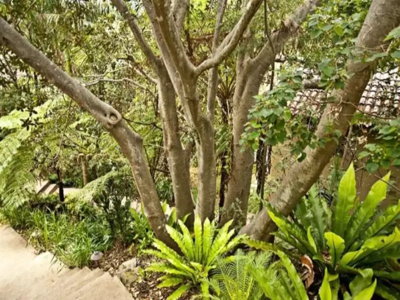 273 Eastern Valley Way, Middle Cove Sold by Aurora Property - image 15