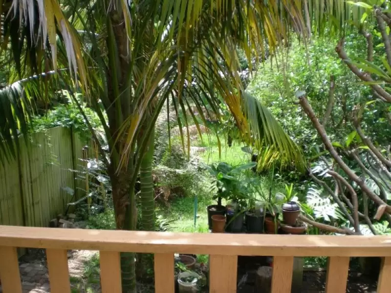 43a Ben Boyd Road, Neutral Bay Sold by Aurora Property - image 5