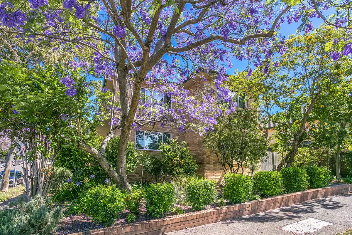 3/215 Ernest Street, Cammeray Sold by Aurora Property - image 8