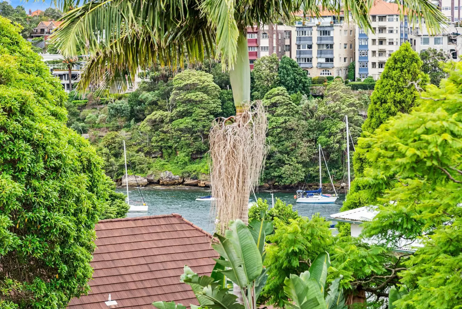 12/174A Kurraba Road, Kurraba Point Sold by Aurora Property - image 5