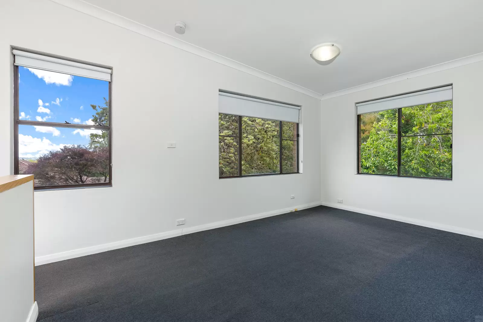 20 Elston Avenue, Denistone Leased by Aurora Property - image 4