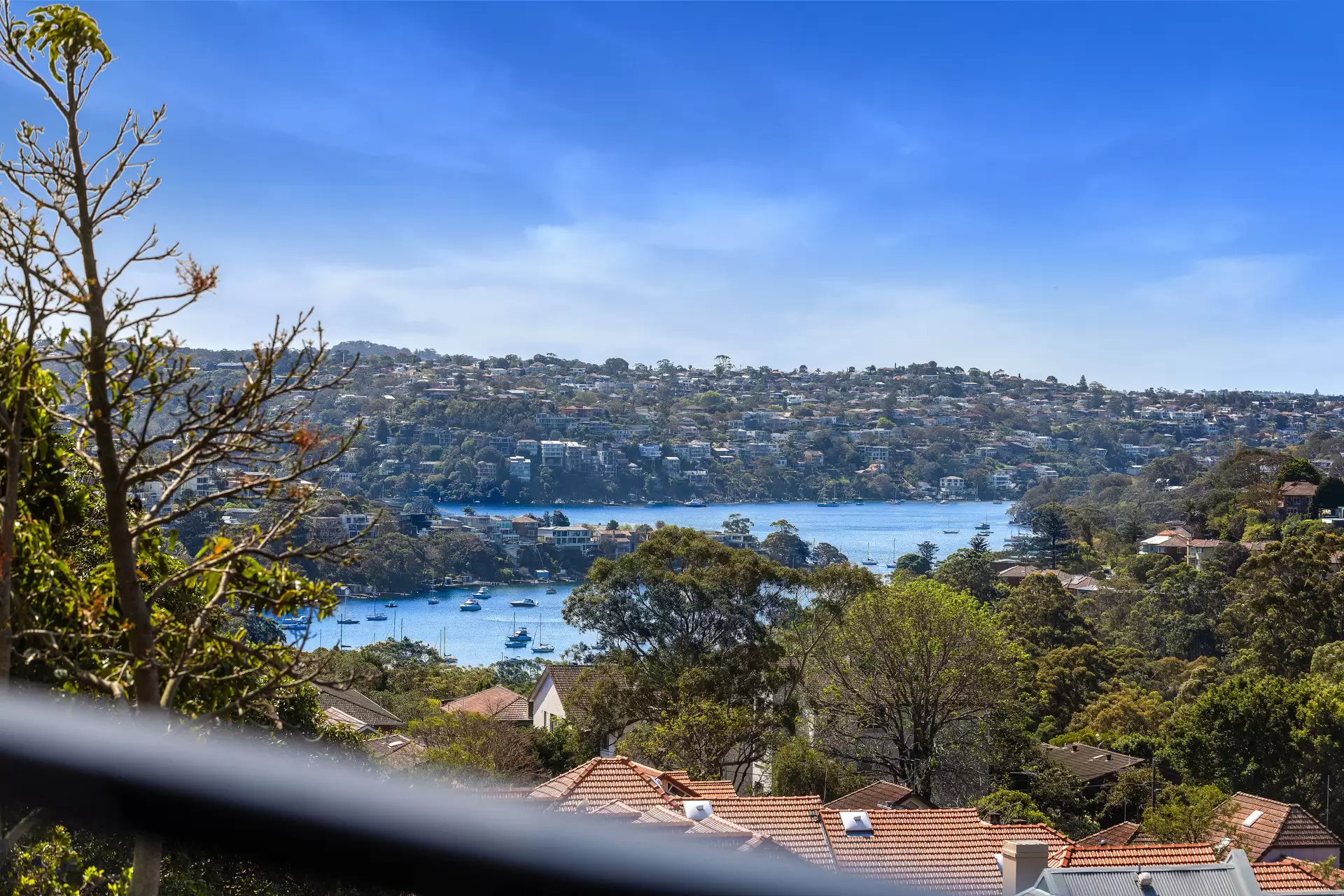 401/221 Ben Boyd Road, Cremorne Leased by Aurora Property - image 2