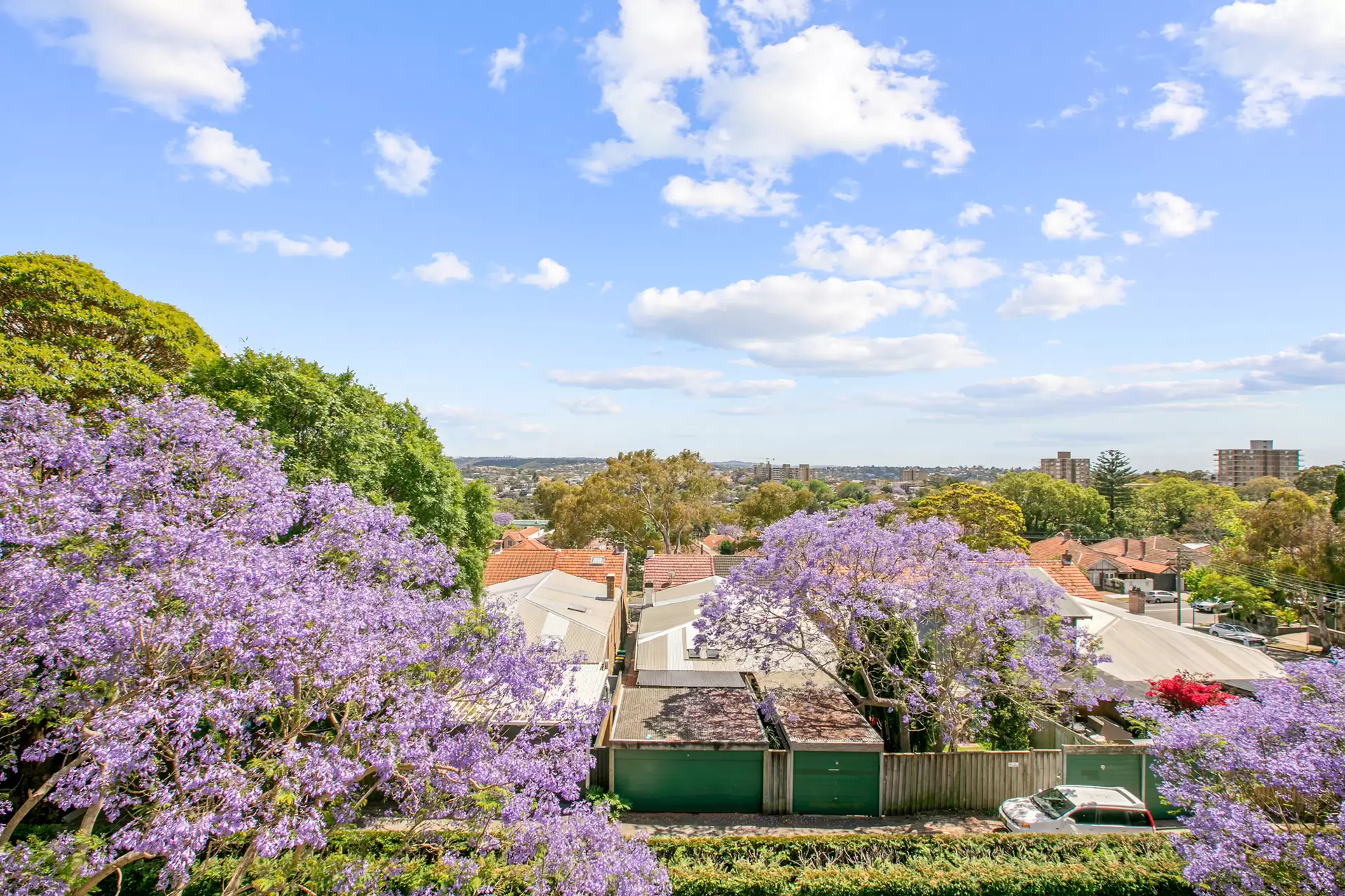 A17/2 Brady Street, Mosman Leased by Aurora Property - image 4