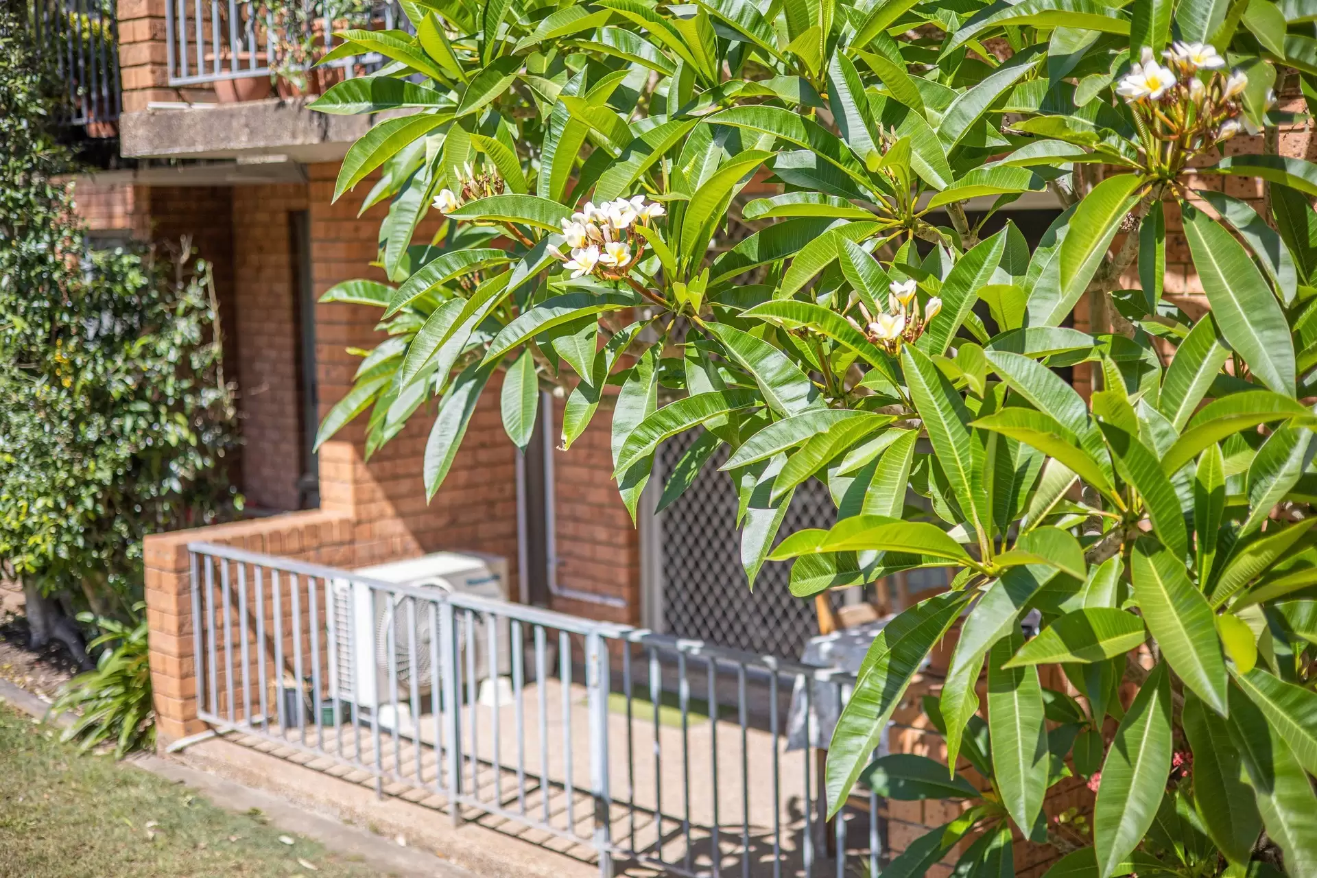 1/41 Adderton Road, Telopea Sold by Aurora Property - image 8