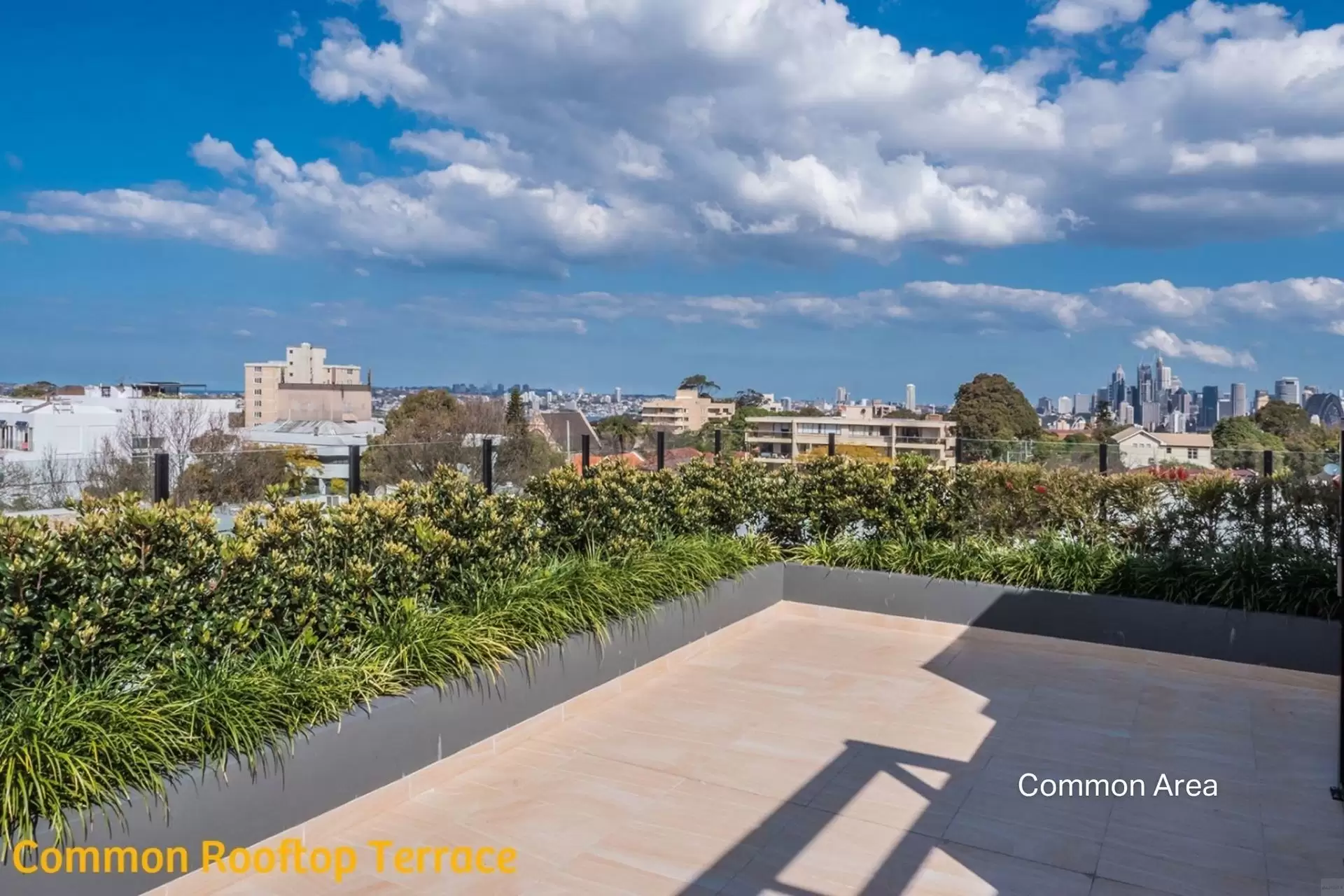 502/140 Military Road, Neutral Bay Sold by Aurora Property - image 11