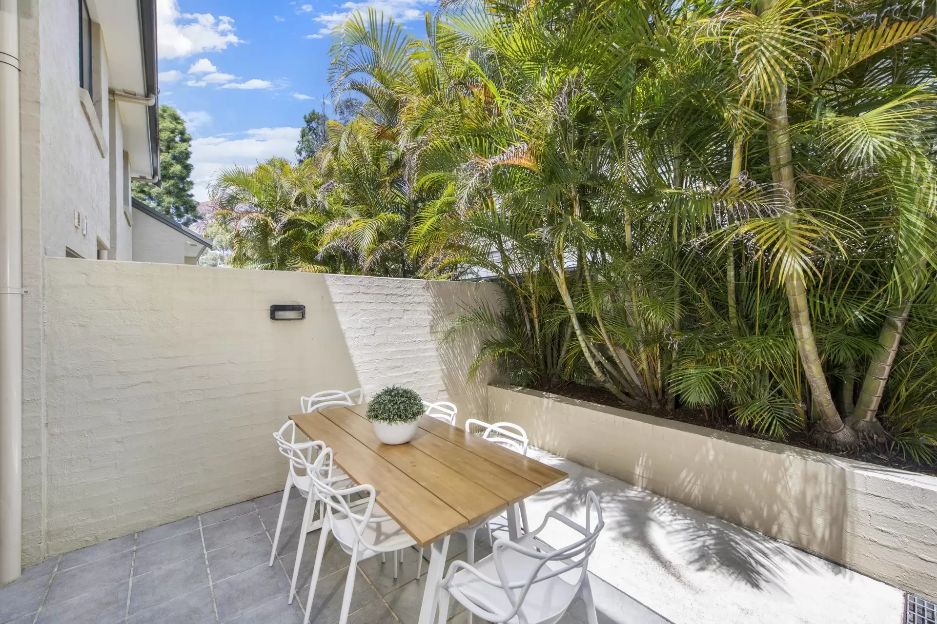 4/2 Armstrong Street, Willoughby Leased by Aurora Property - image 1