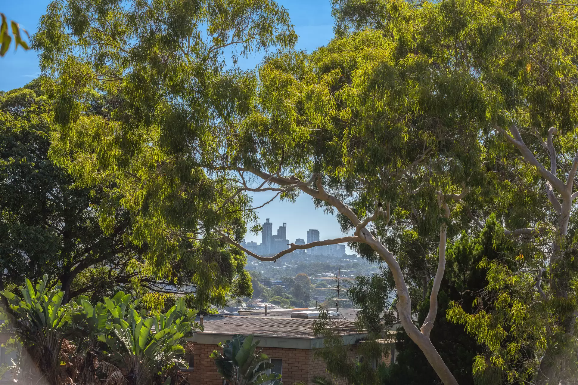 18/81A Gerard Street, Cremorne Sold by Aurora Property - image 11