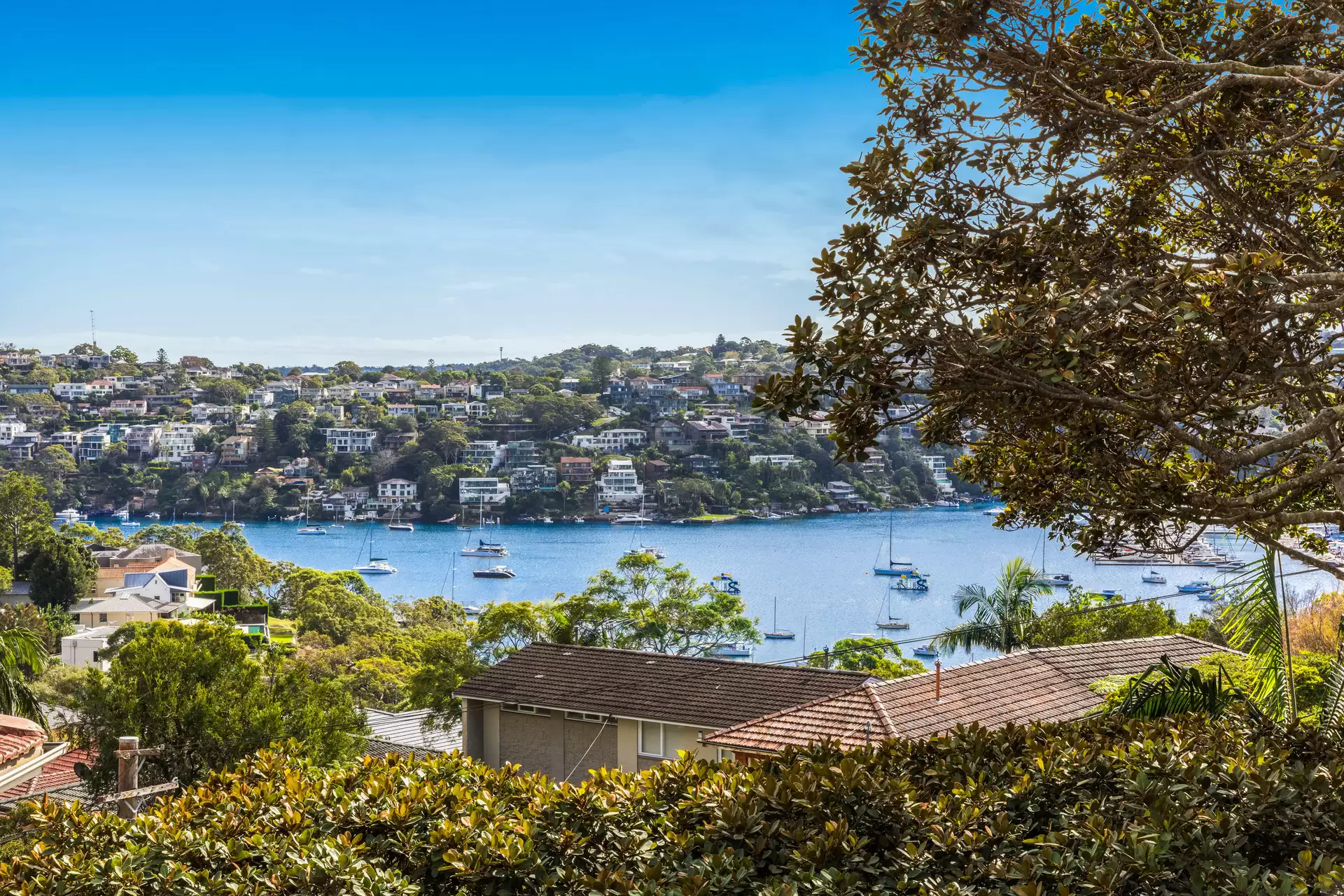 4/2 Ida Avenue, Mosman Sold by Aurora Property - image 4