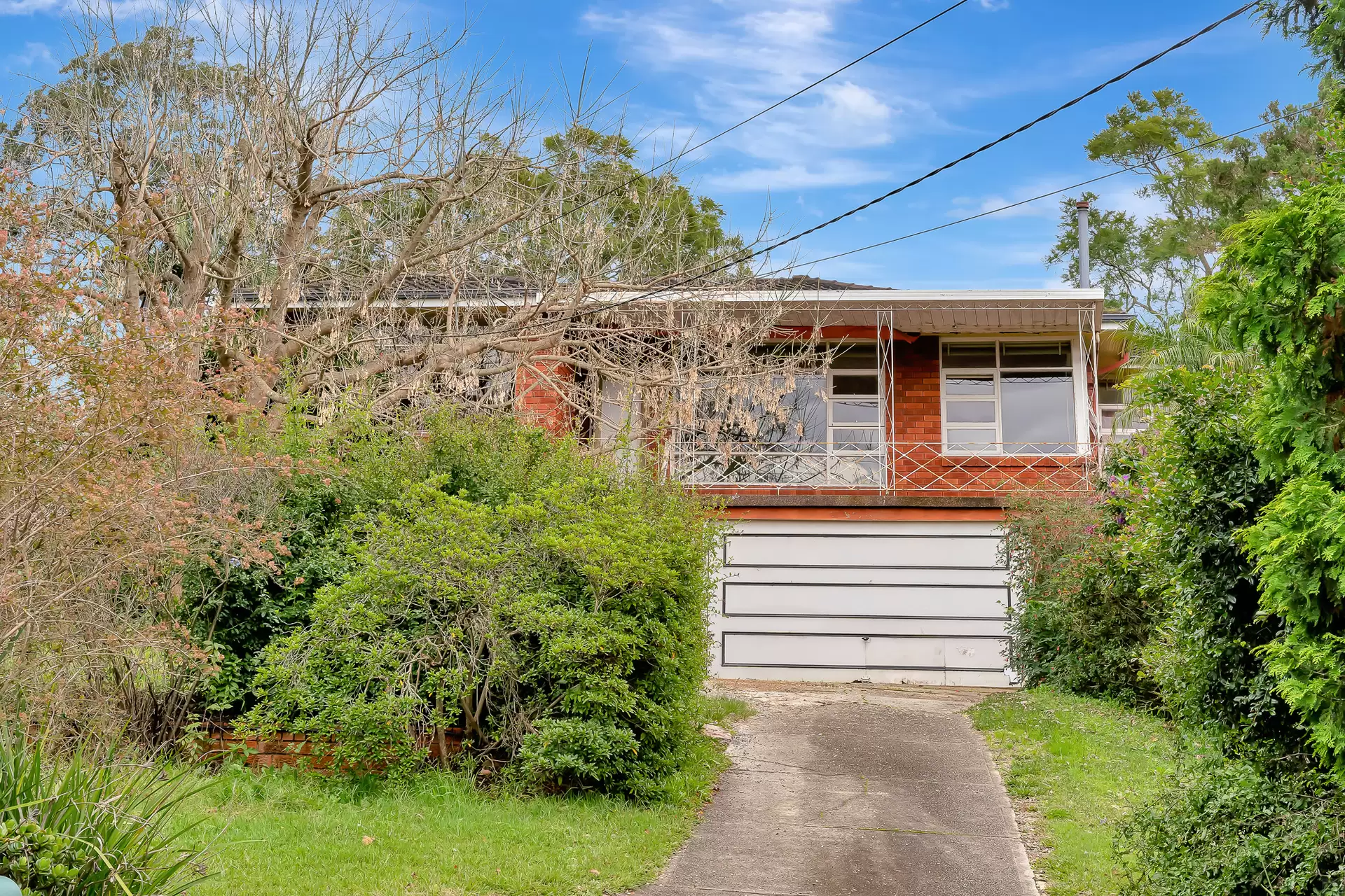 5 Bingara Road, Beecroft Leased by Aurora Property - image 1