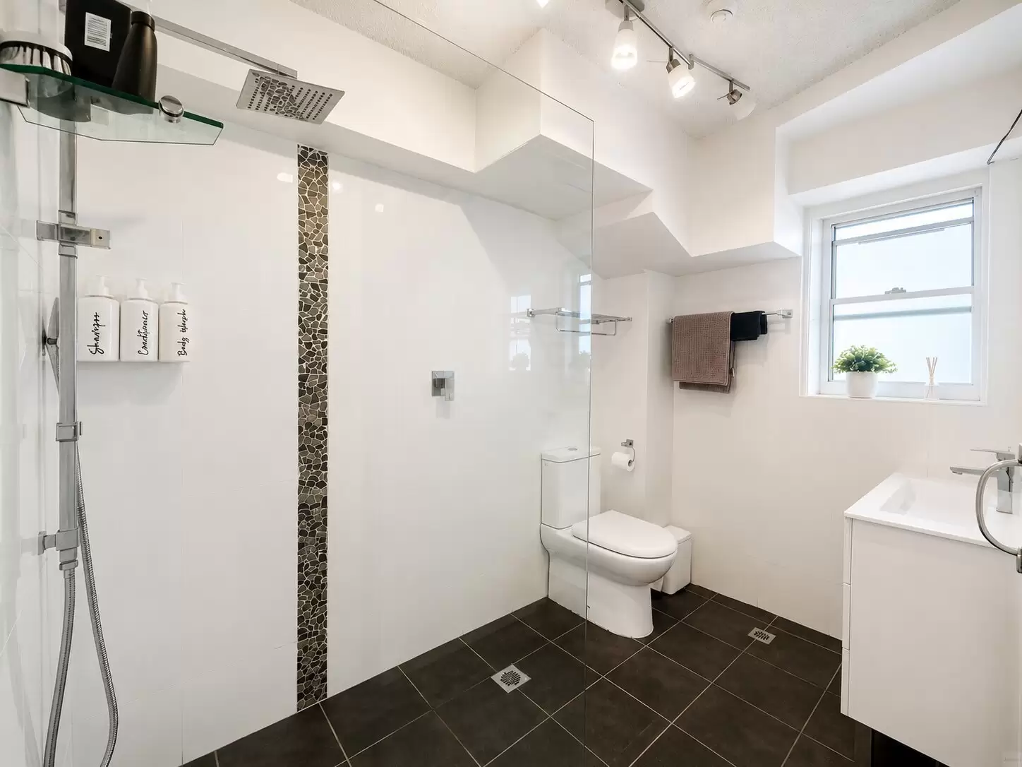 25/2 Lindsay St, Neutral Bay Leased by Aurora Property - image 4