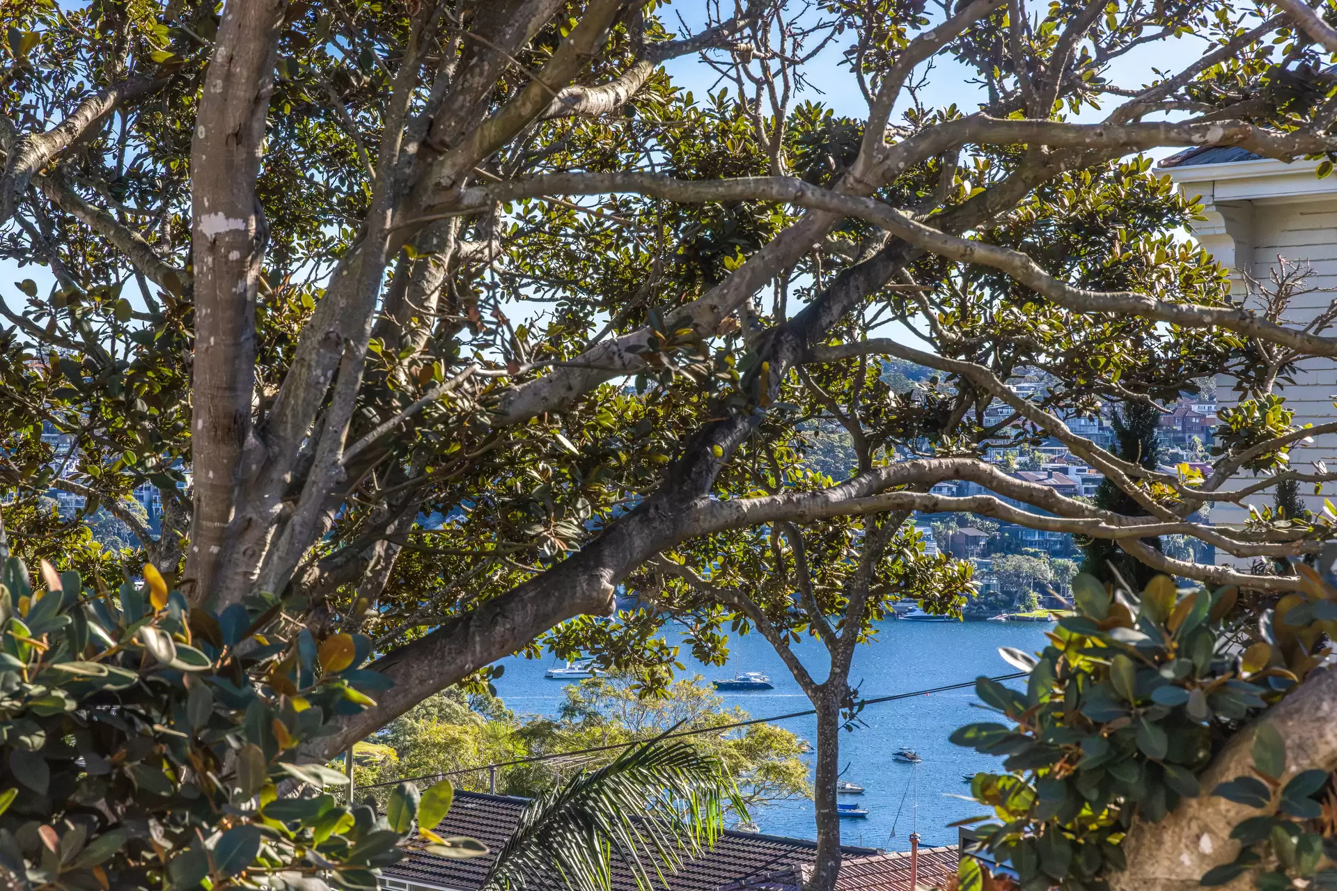 3/2 Ida Avenue, Mosman Sold by Aurora Property - image 9