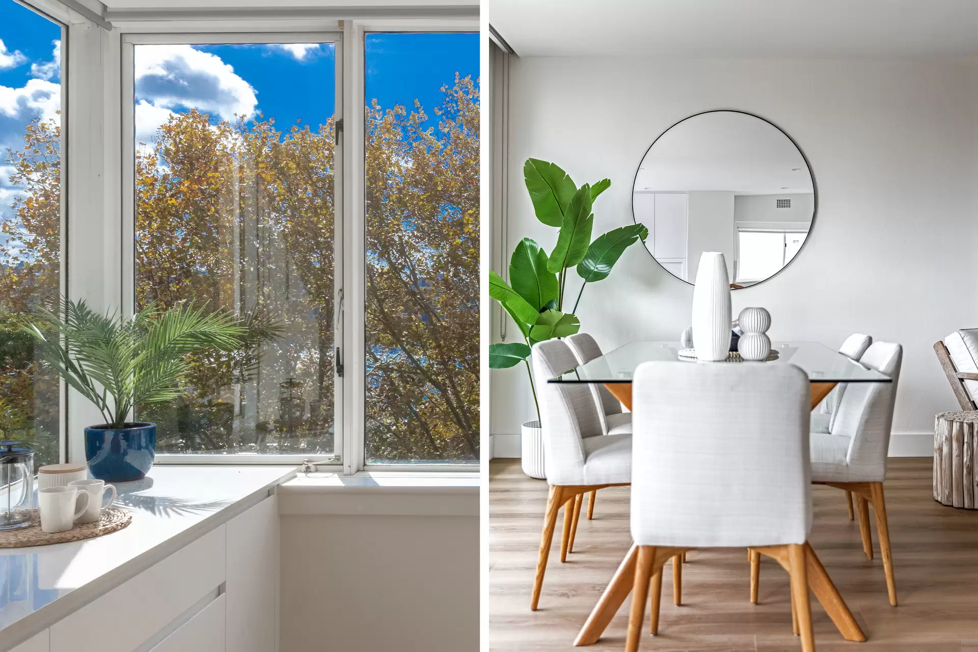 12/22 Peel Street, Kirribilli Leased by Aurora Property - image 13