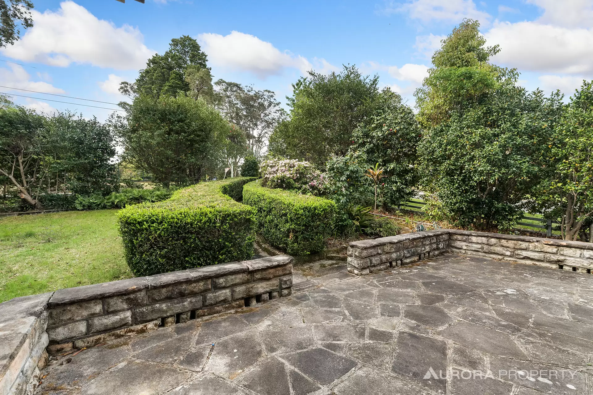 31 Hannah Street, Beecroft For Lease by Aurora Property - image 5