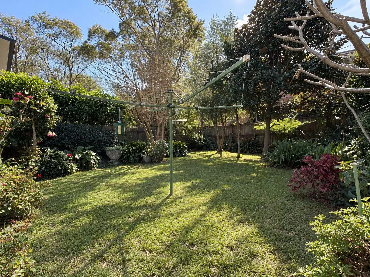 16 Palmer Street, Cammeray Leased by Aurora Property - image 12