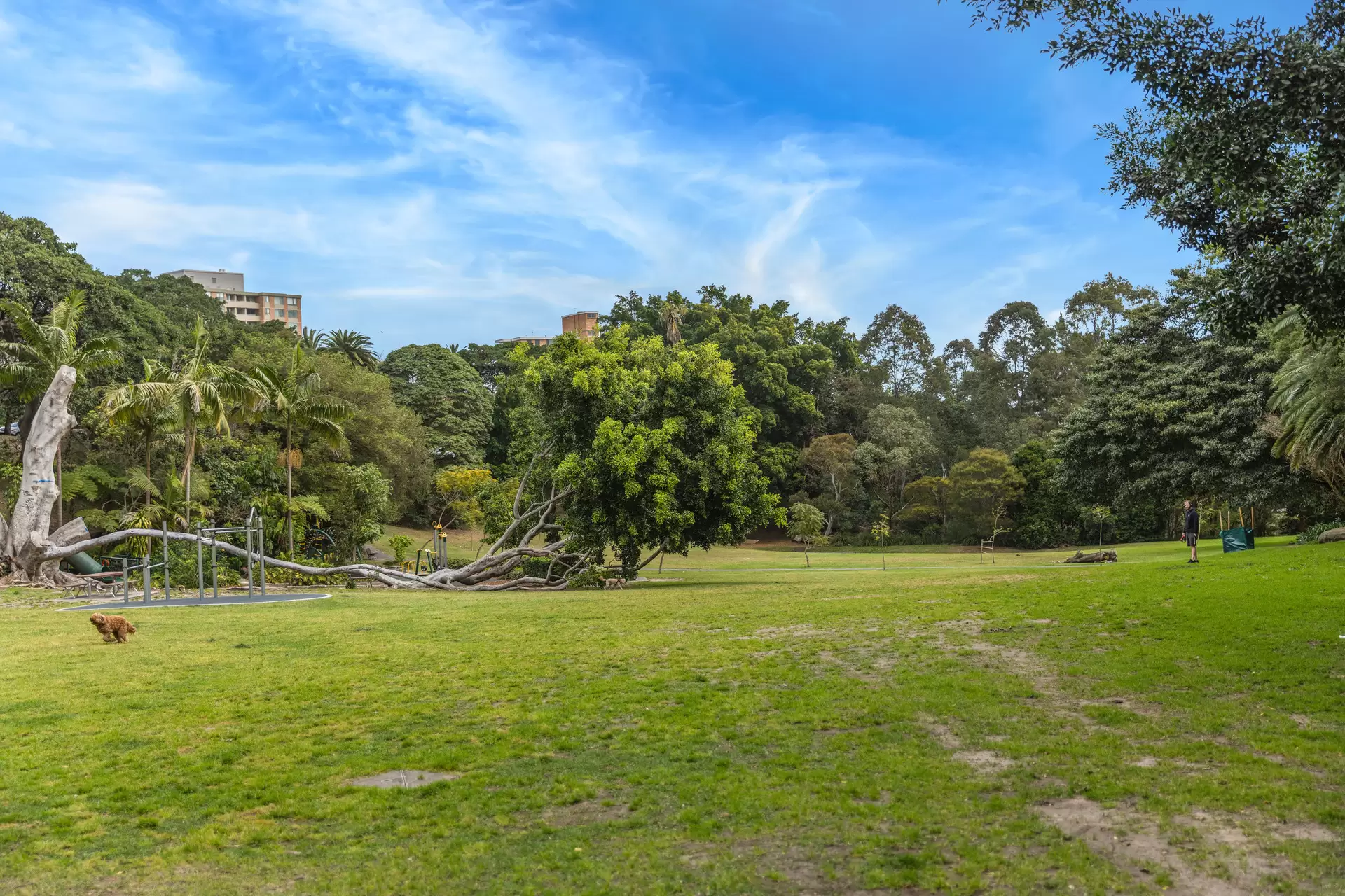 8/8 Hazelbank Road, Wollstonecraft Sold by Aurora Property - image 13