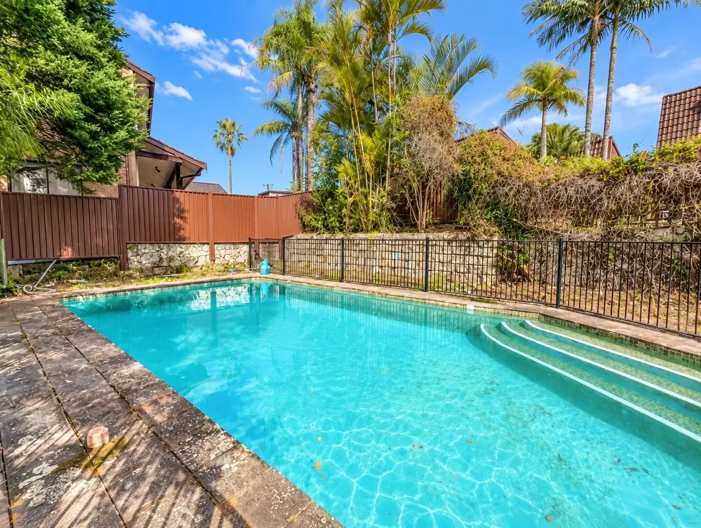 4 Kimberley Street, East Killara For Lease by Aurora Property - image 14
